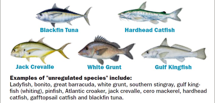 fishing laws
